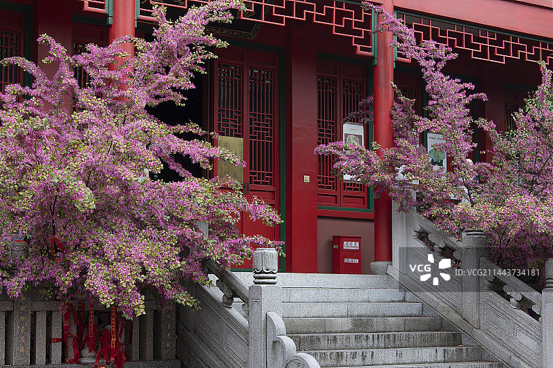 毗卢寺图片素材