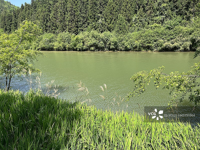 龙船水乡图片素材