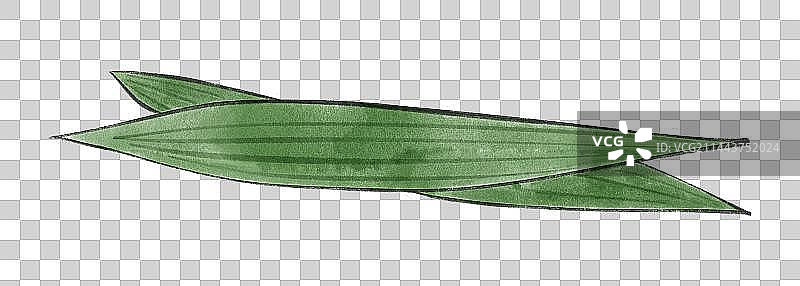 端午节粽叶国风插画图片素材