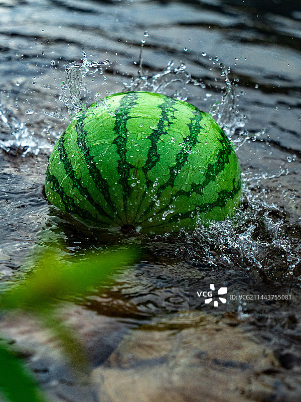 清澈溪流中的完整西瓜图片素材