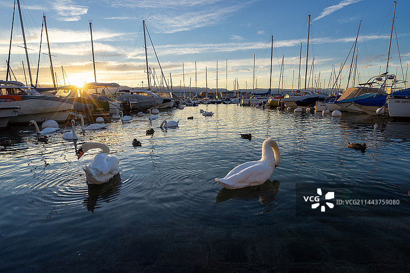 瑞士日内瓦湖图片素材