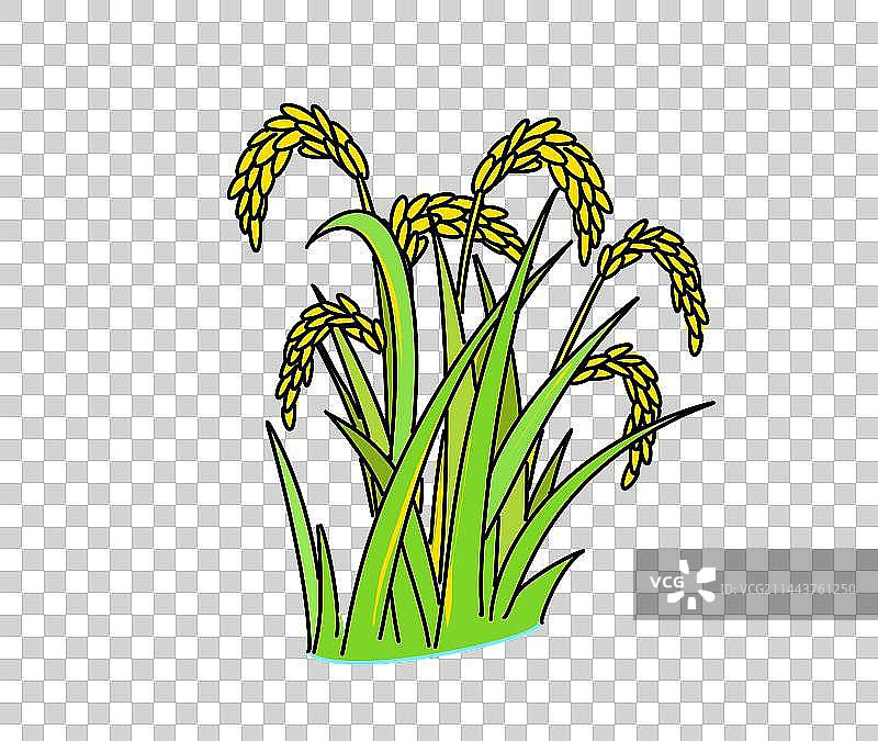 农业粮食水稻麦子卡通风格手绘漫画设计可爱元素图片素材