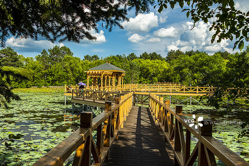 荷塘长廊图片素材