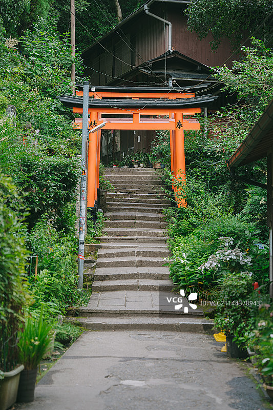 京都山道上的鸟居图片素材