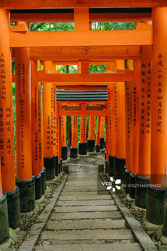 千本鸟居图片素材