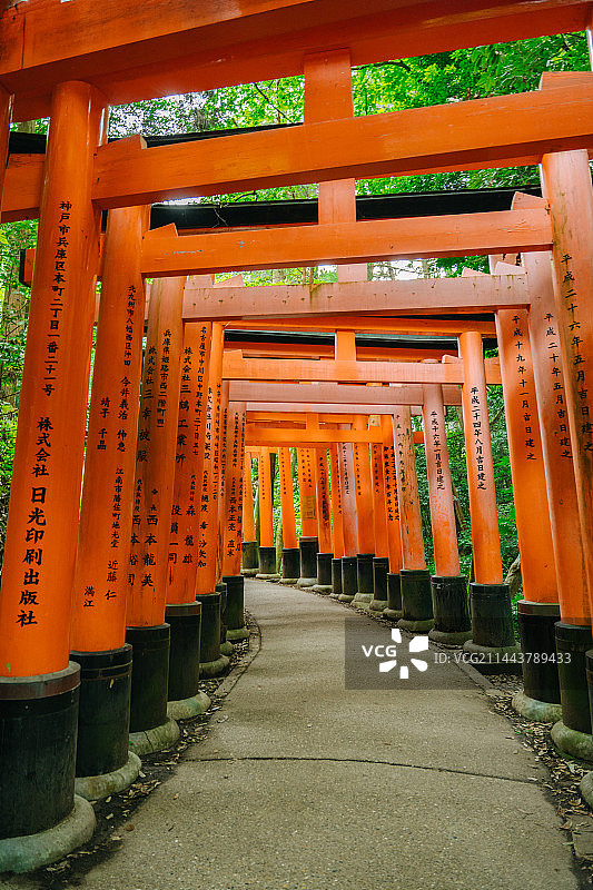 千本鸟居图片素材