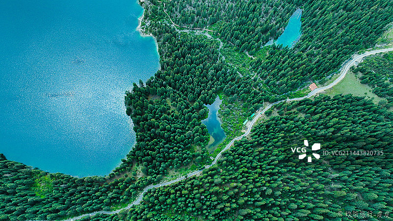 林间的一抹翡翠绿图片素材