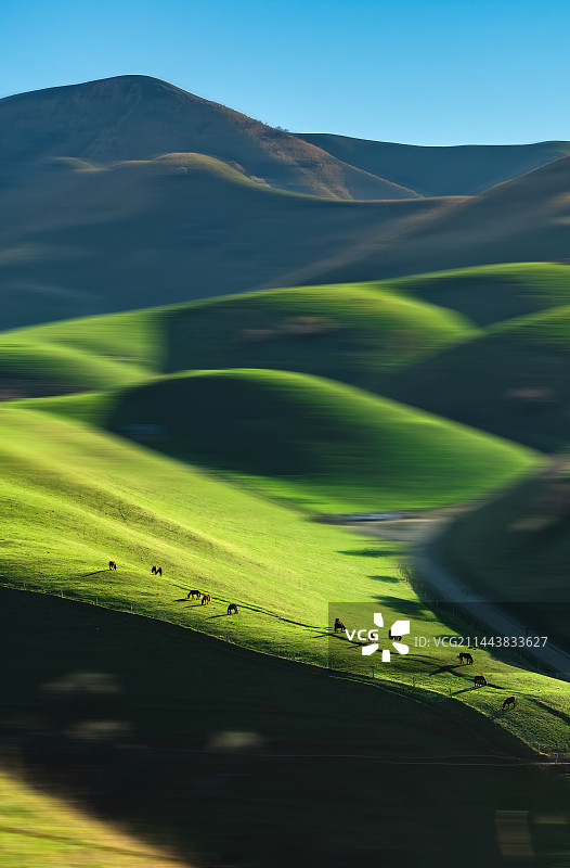 新疆伊犁新源县“人体草原”—每一个起伏山峦都藏着一首诗图片素材