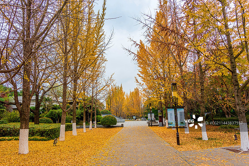中国江苏徐州龟山汉墓秋景图片素材