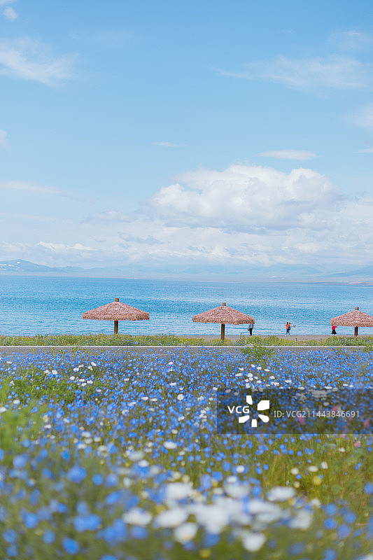 赛里木湖畔图片素材