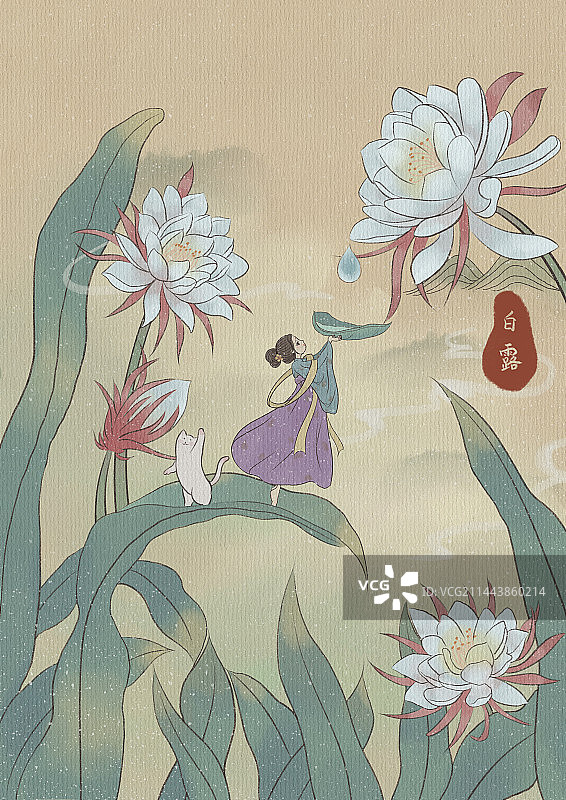 白露节气图片素材