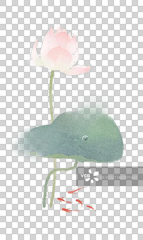 水彩荷花荷叶与小金鱼图片素材