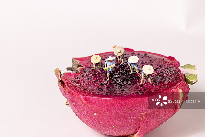 火龙果上的玩偶图片素材