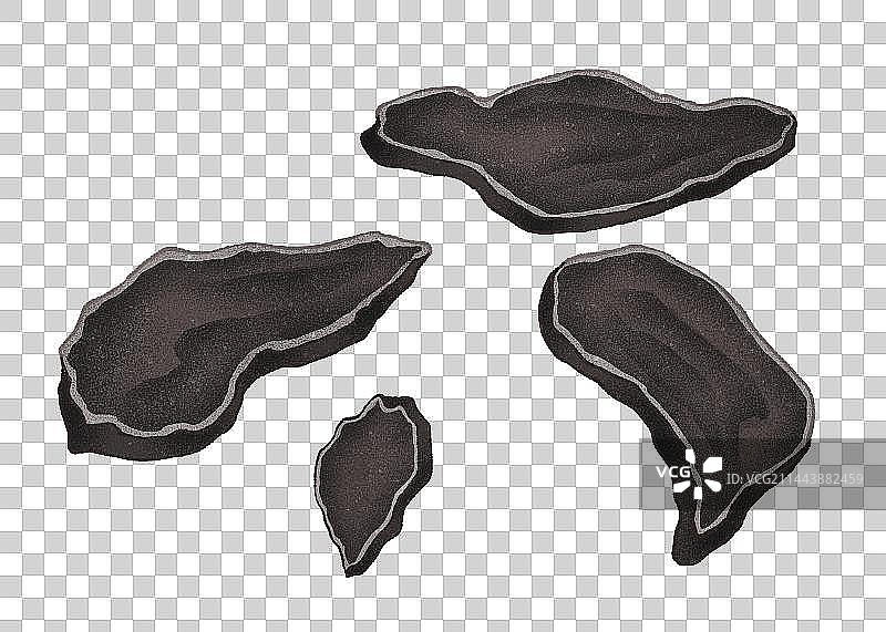 中药首乌何首乌元素图片素材