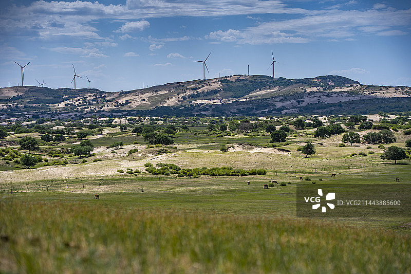 内蒙古巴林左旗的草场 树 草原图片素材
