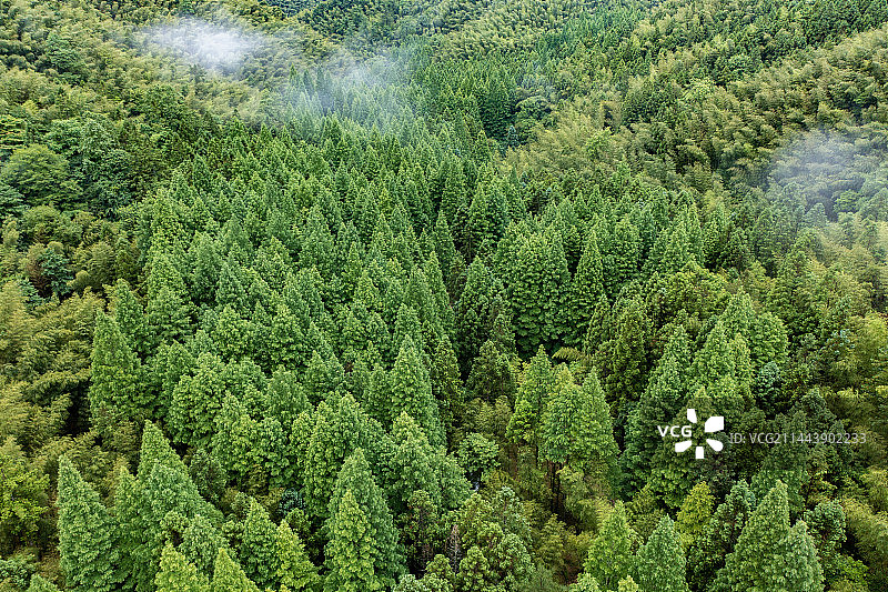 航拍湖南株洲炎陵神农谷景区景观图片素材