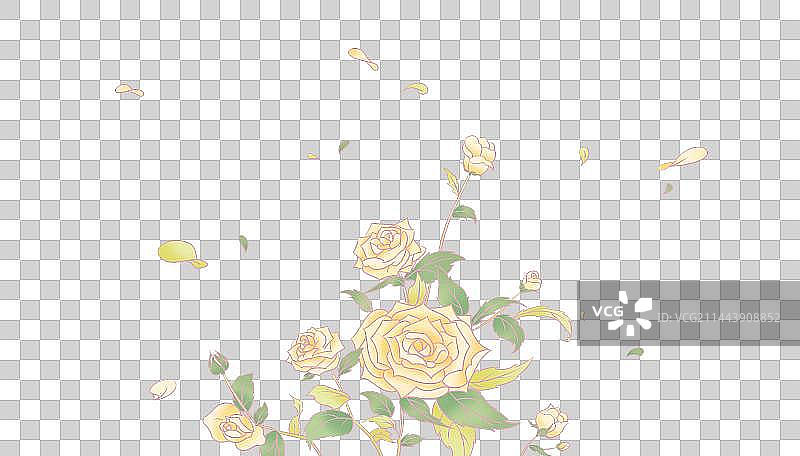 黄玫瑰图片素材