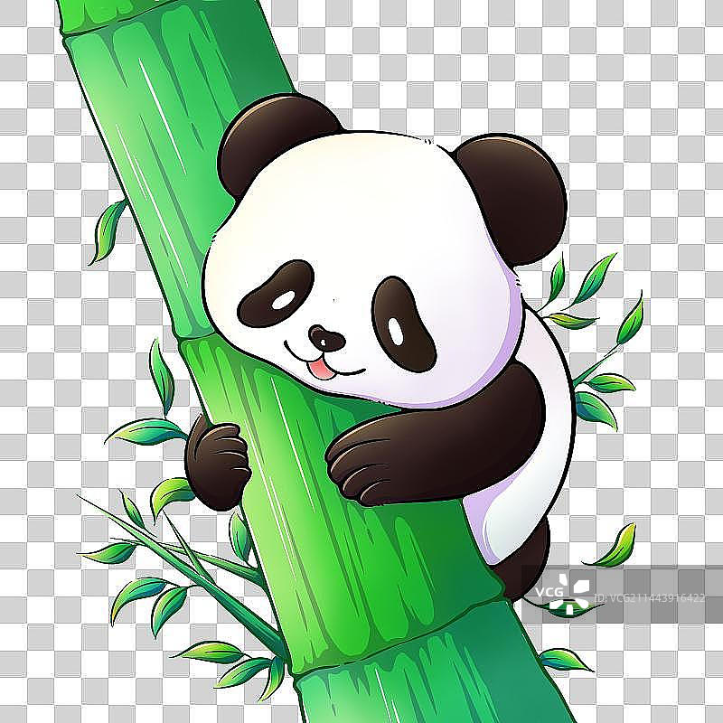 爬竹子的熊猫图片素材
