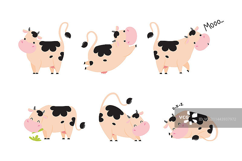 可爱的小牛犊，带蹄和斑点外套图片素材