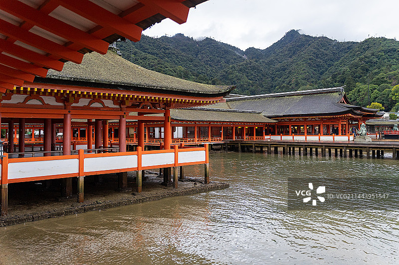 世界文化遗产日本广岛严岛神社宫岛神社图片素材