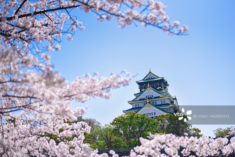 大阪城图片素材