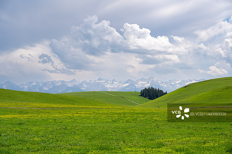 喀拉峻草原图片素材