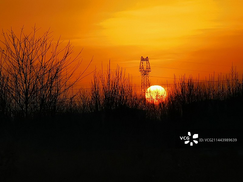 旭日东升图片素材