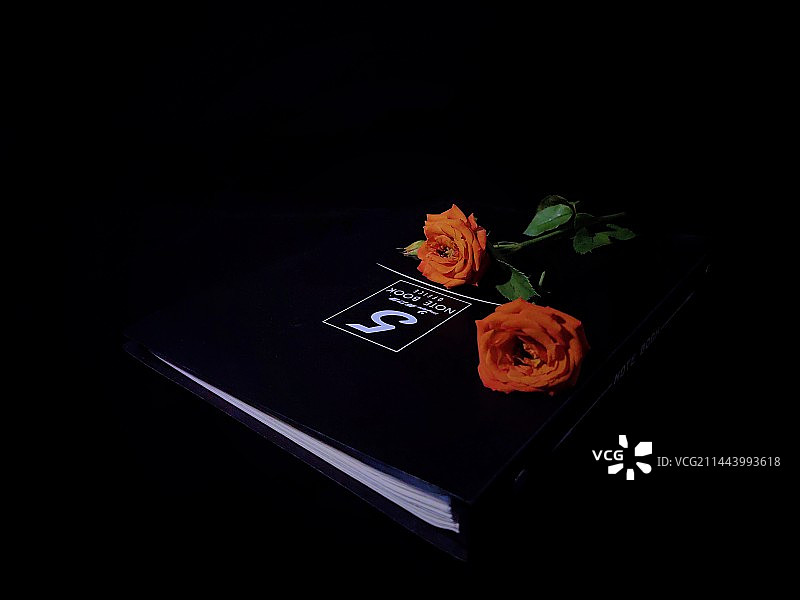 黑色背景下的本子与花朵图片素材