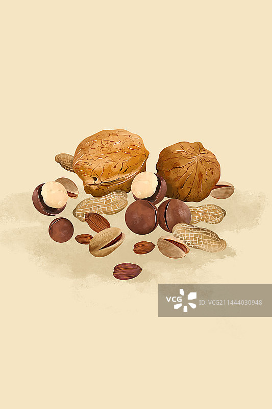 手绘坚果图片素材