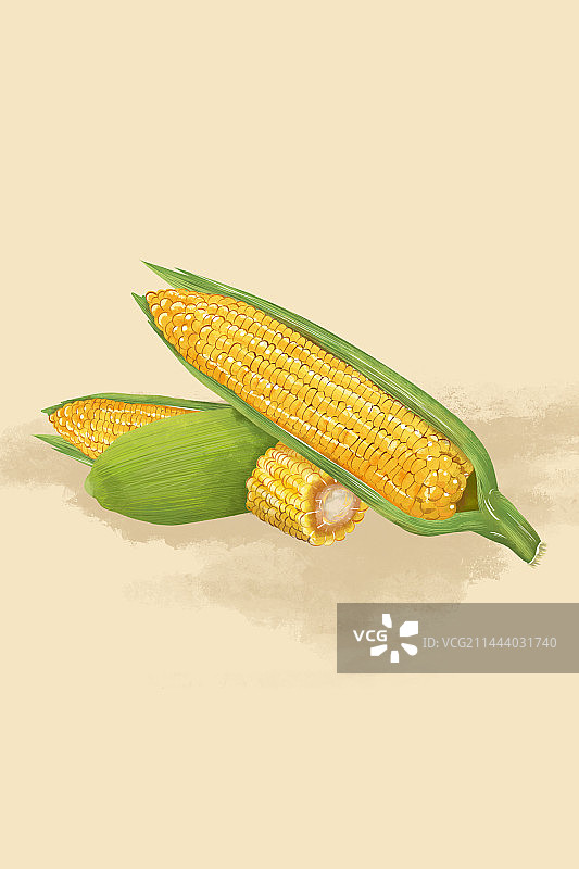 手绘玉米图片素材
