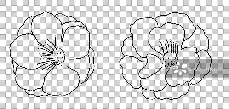 樱花手绘线条插画图片素材