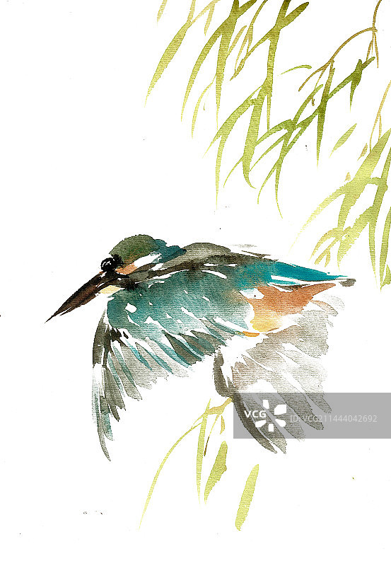 柳下的翠鸟图片素材