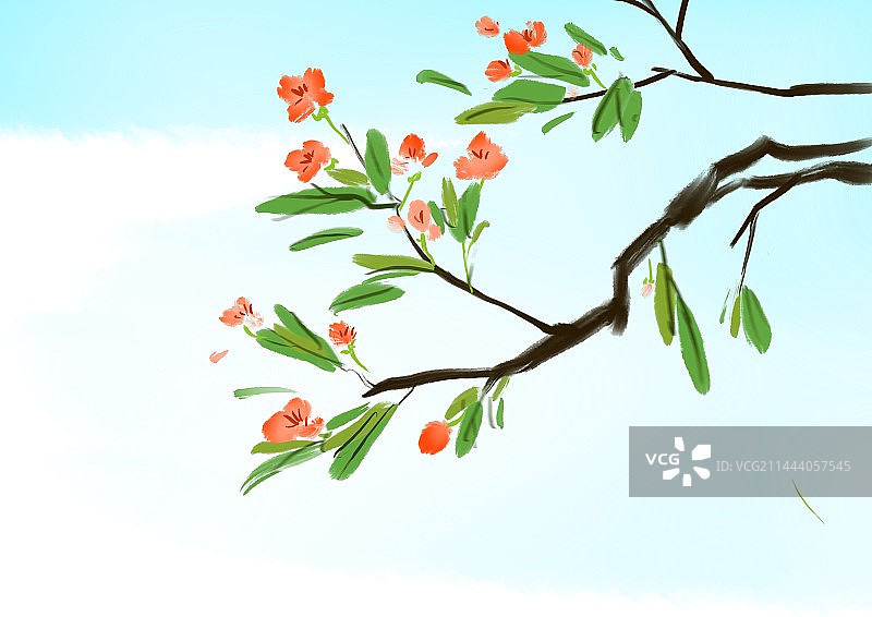 春天里的花图片素材