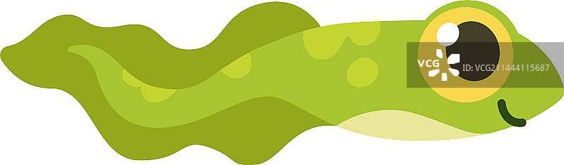 青蛙蝌蚪图标图片素材