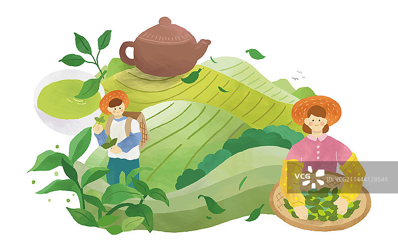 手绘茶农在茶园里采茶与山丘上的茶壶插画图片素材