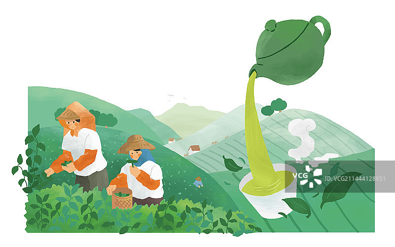 手绘茶园里采茶的茶农与倒茶进茶杯插画图片素材