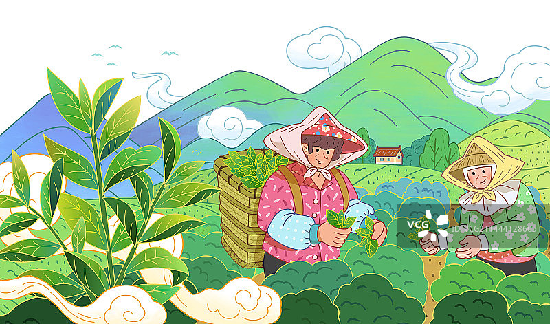 采摘茶叶的茶农与乡间茶园美景插画图片素材