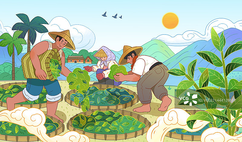 翠绿茶园晾晒茶叶的茶农与乡间茶园美景插画图片素材
