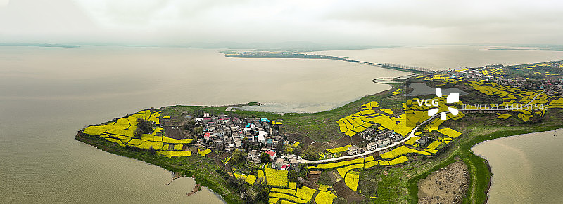 航拍安徽池州升金湖油菜花图片素材