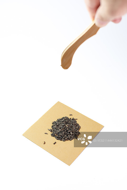 白色背景中药牛蒡子抓药图片素材