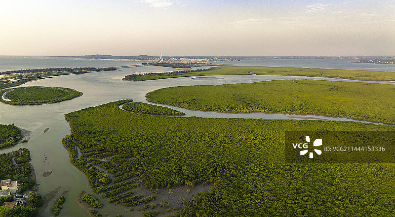 航拍海南海口市红树林图片素材