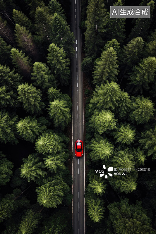 【AI数字艺术】航拍水杉林中的道路图片素材