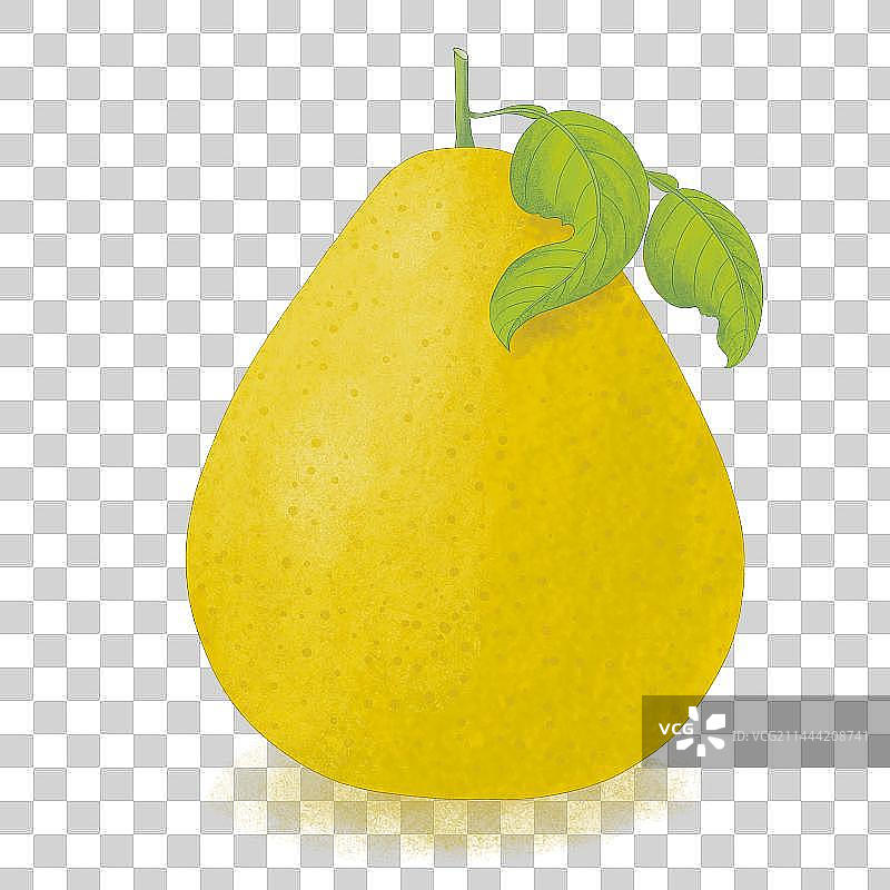 柚子图片素材