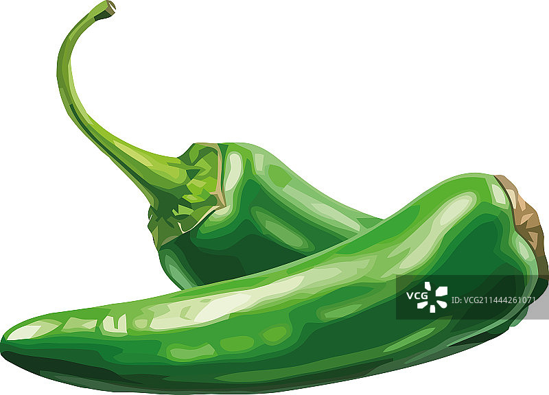 成熟而火辣的新鲜绿色辣椒图片素材