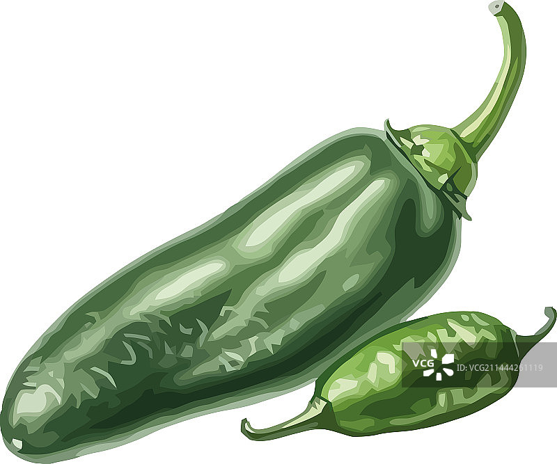 新鲜的绿色辣椒为餐点增添风味图片素材