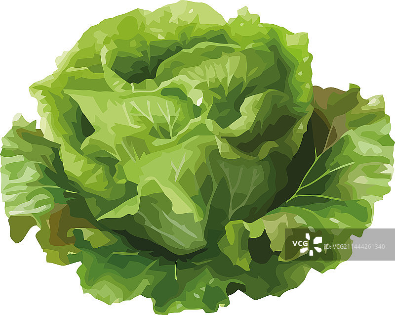 新鲜蔬菜象征健康饮食图片素材