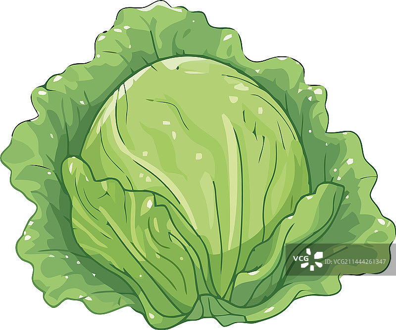 新鲜生菜蔬菜沙拉素食图片素材