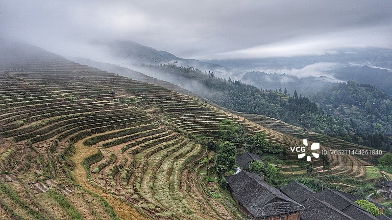 广西龙胜-龙脊梯田图片素材