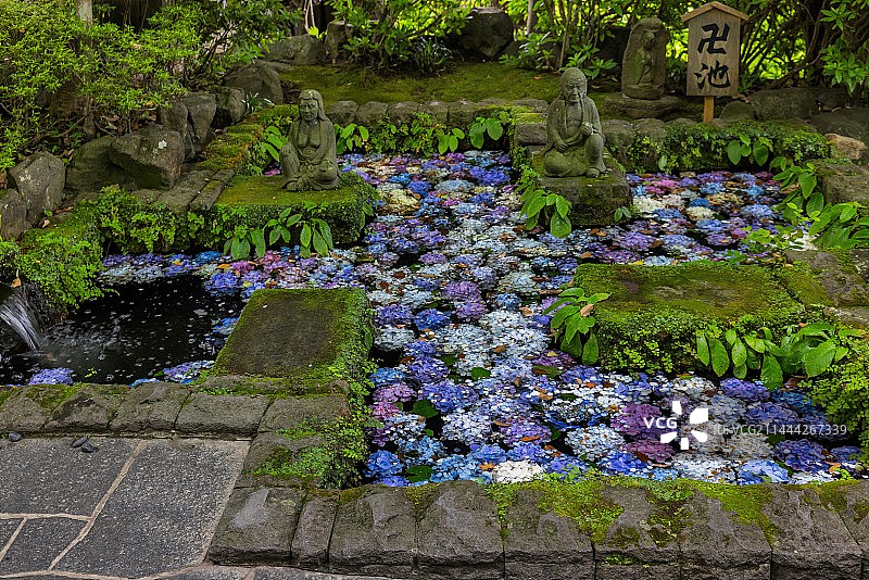 日本镰仓云谷寺的花手水水池图片素材