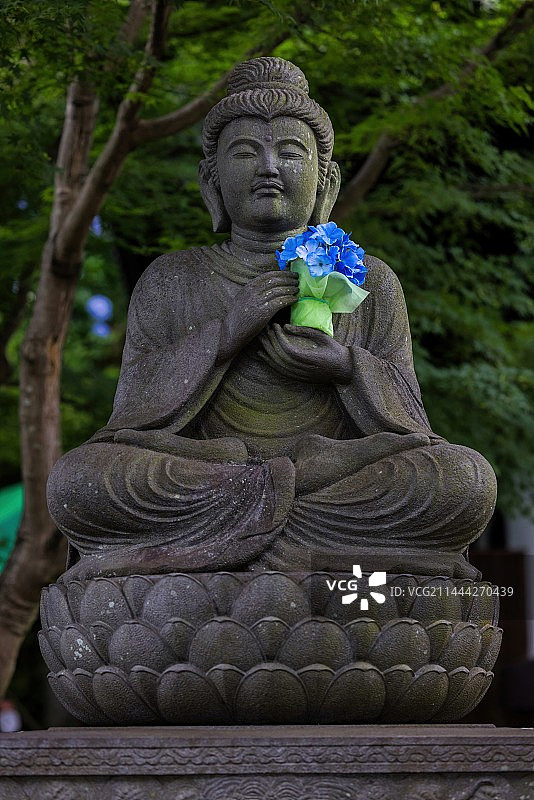 日本长谷寺手捧紫阳花的佛像图片素材
